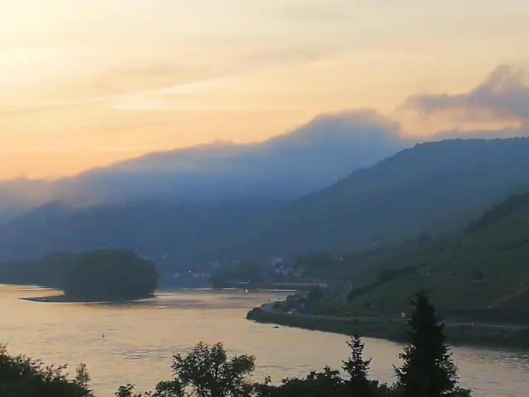 Wunderschoene Aussicht Garantiert Trechtingshausen Eksteriør bilde