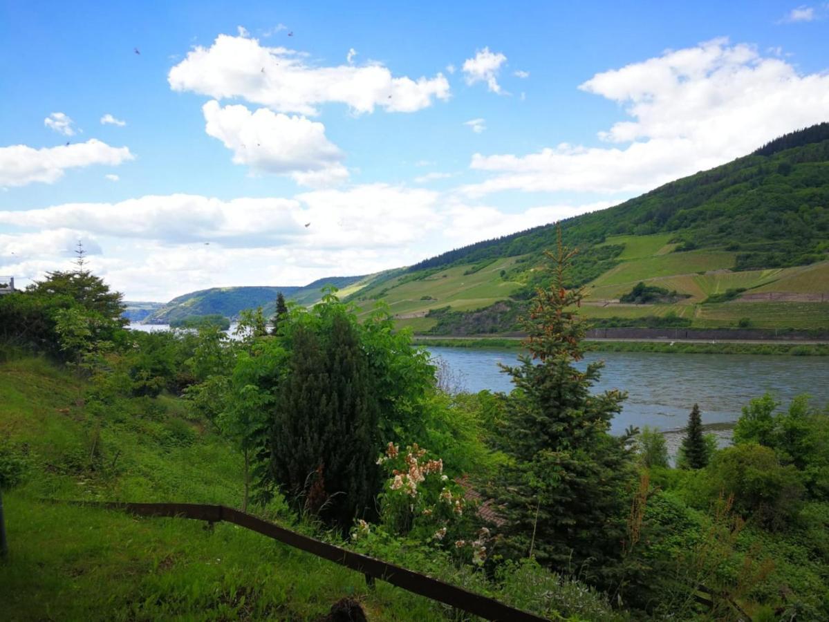 Wunderschoene Aussicht Garantiert Trechtingshausen Eksteriør bilde