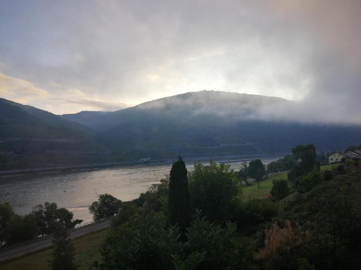 Wunderschoene Aussicht Garantiert Trechtingshausen Eksteriør bilde